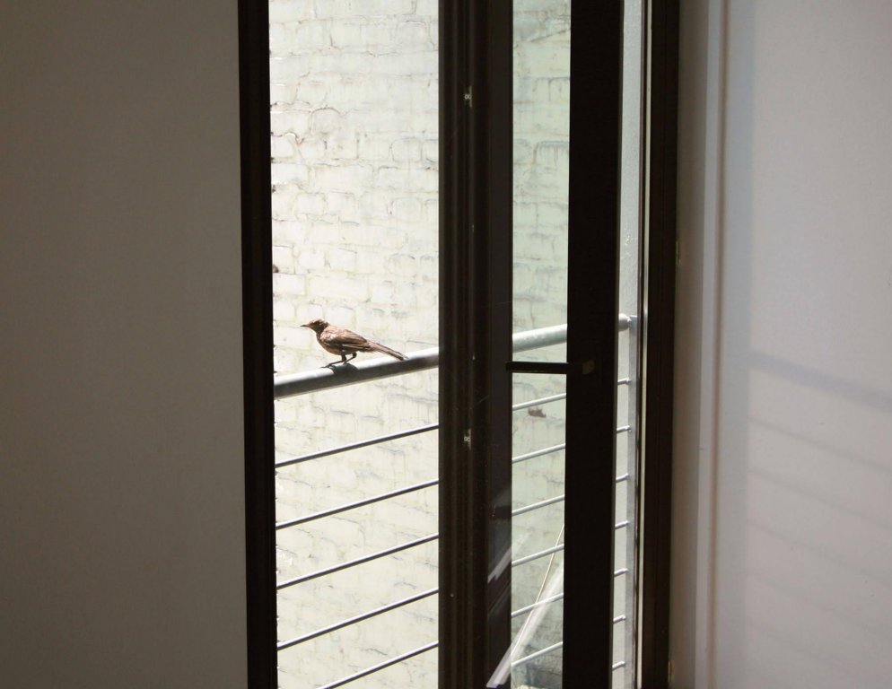 Фото Hotel Chelsea