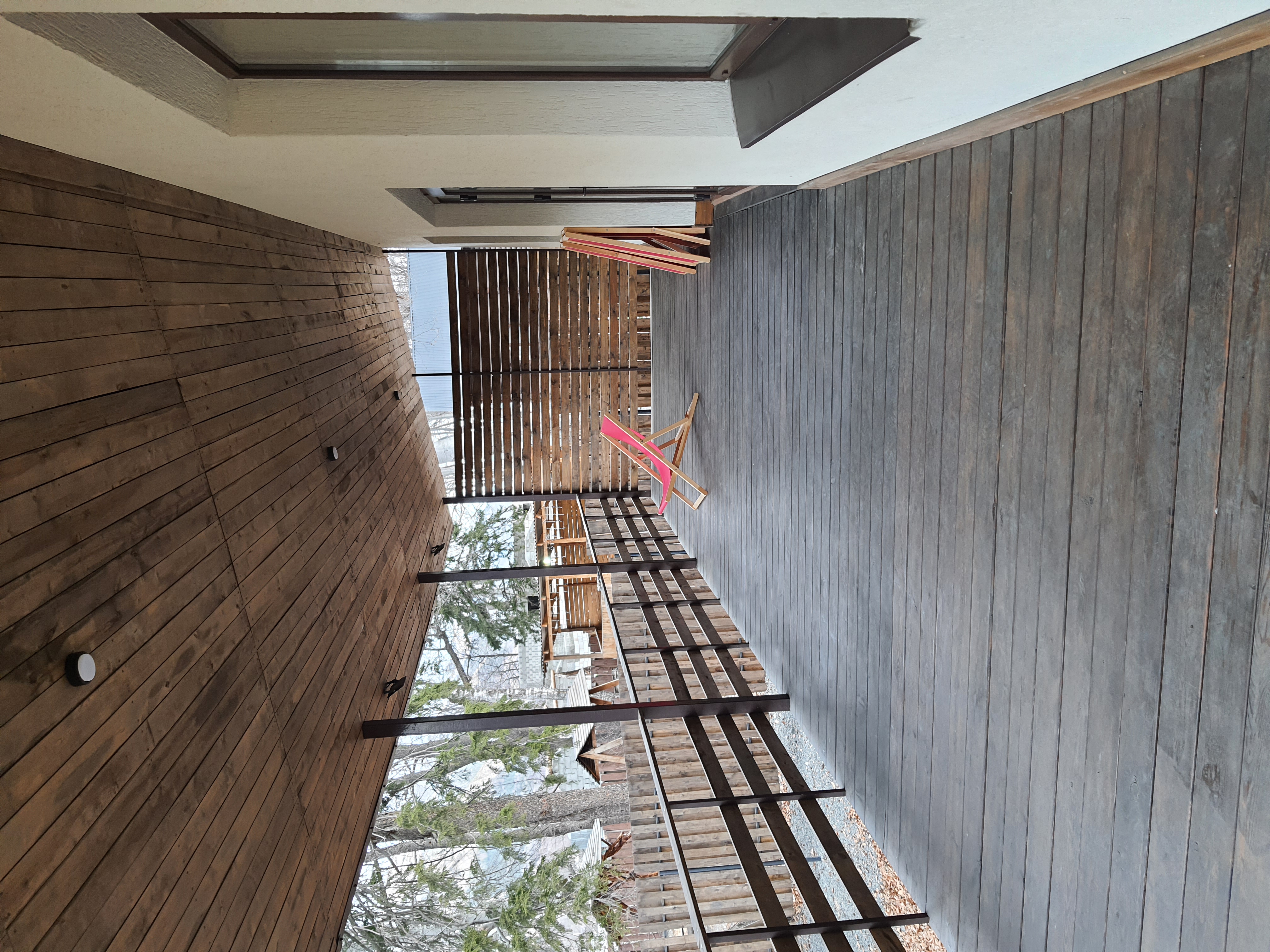 Фото Ягодный тис