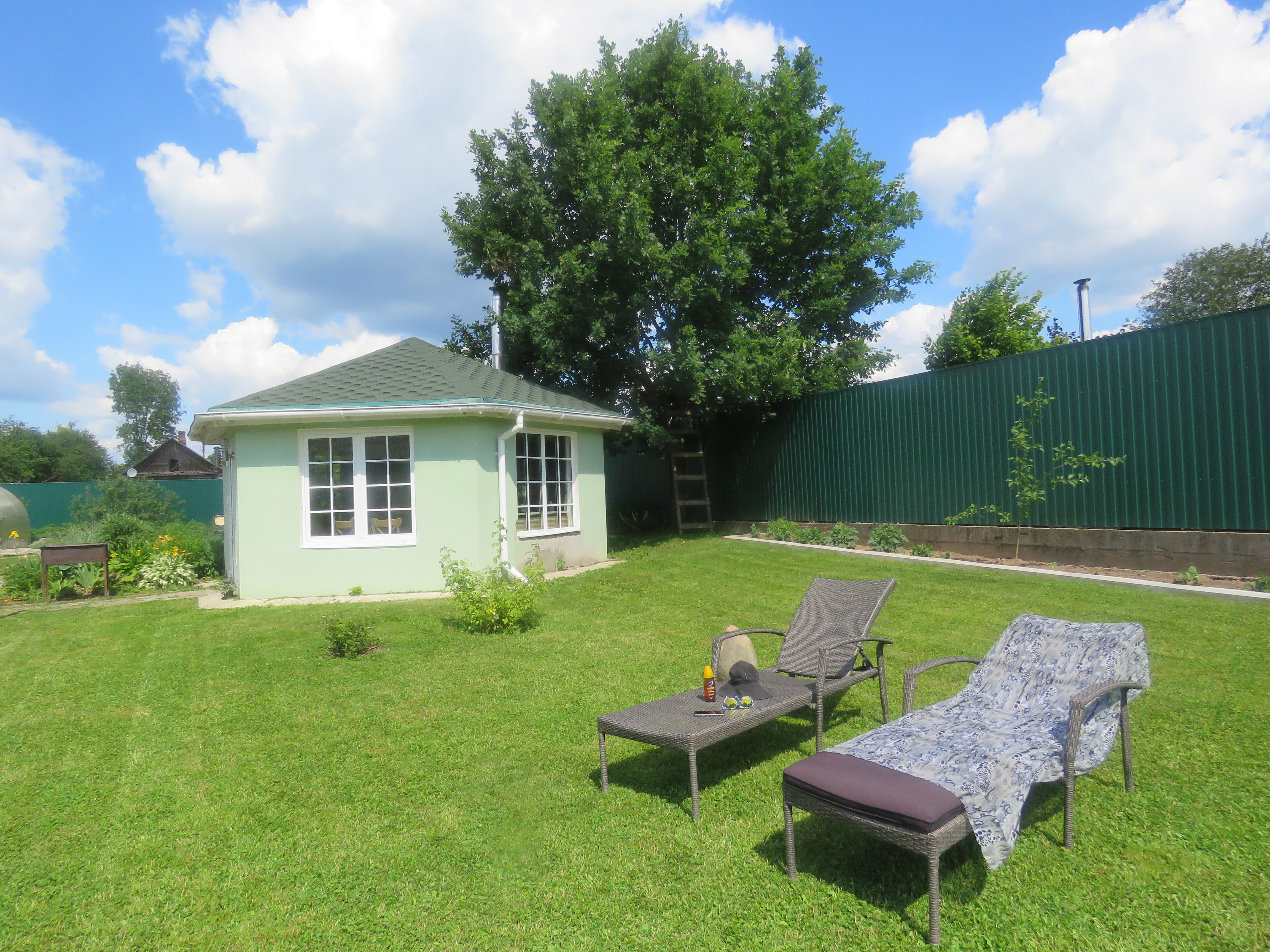 Фото Кот и кошка