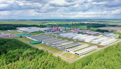 L_height Крупнейшая птицефабрика ЦФО приостановила отгрузки из-за вспышки птичьего гриппа