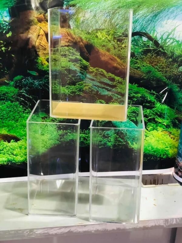 Aquariums Famous Pets, Dubai, photo