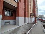 Сосновый бор (Sovetskoy Armii Street, 6), hoa, junta directiva de snt