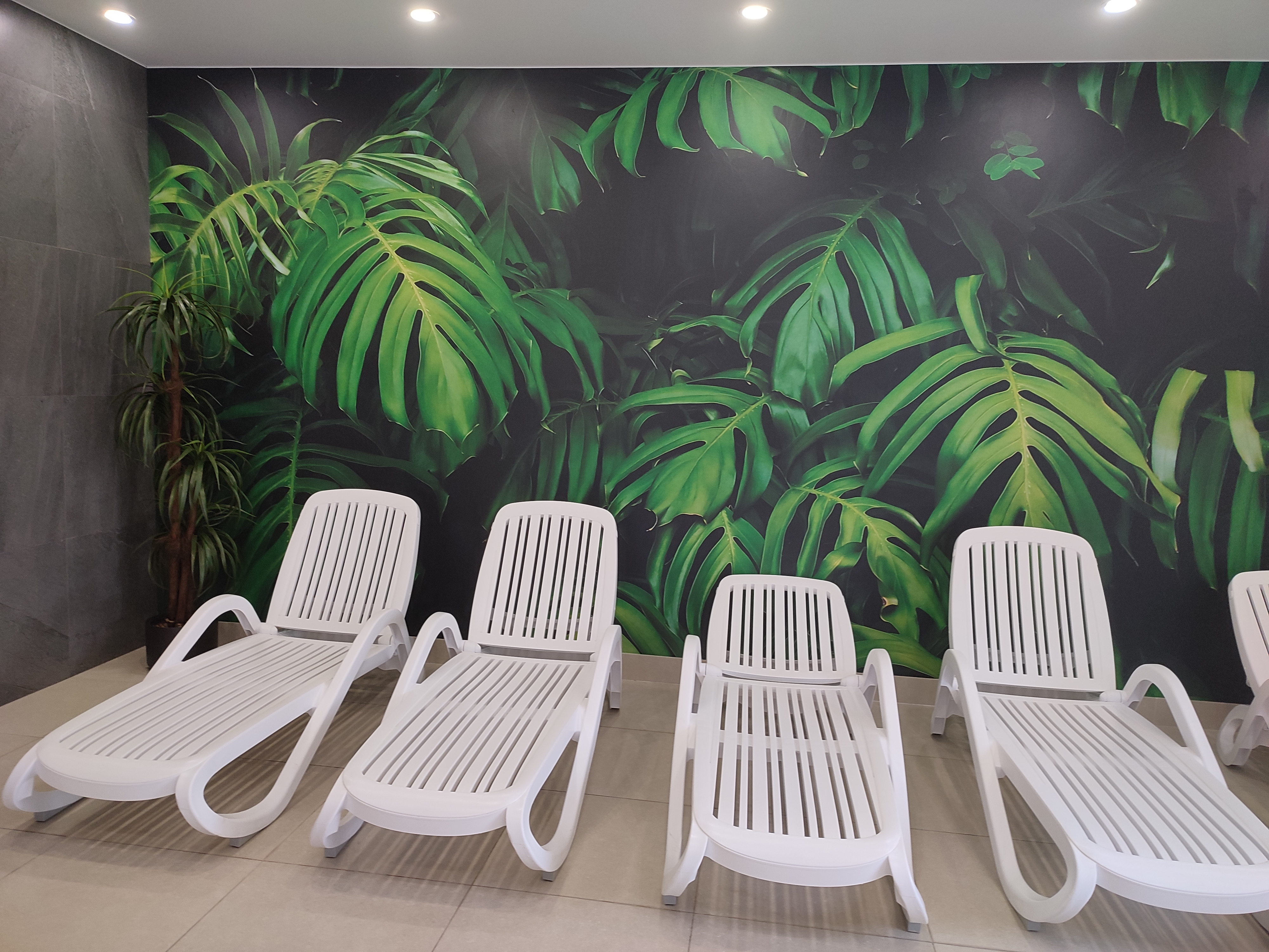 Фото Новинка