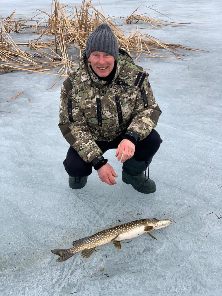 Фото Золотое