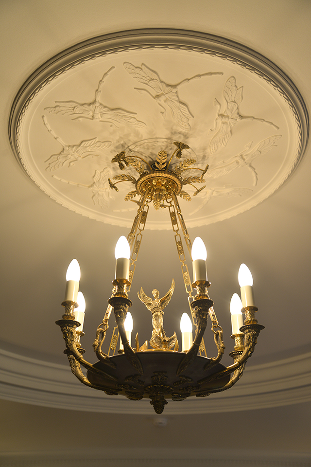 Фото Викинг I