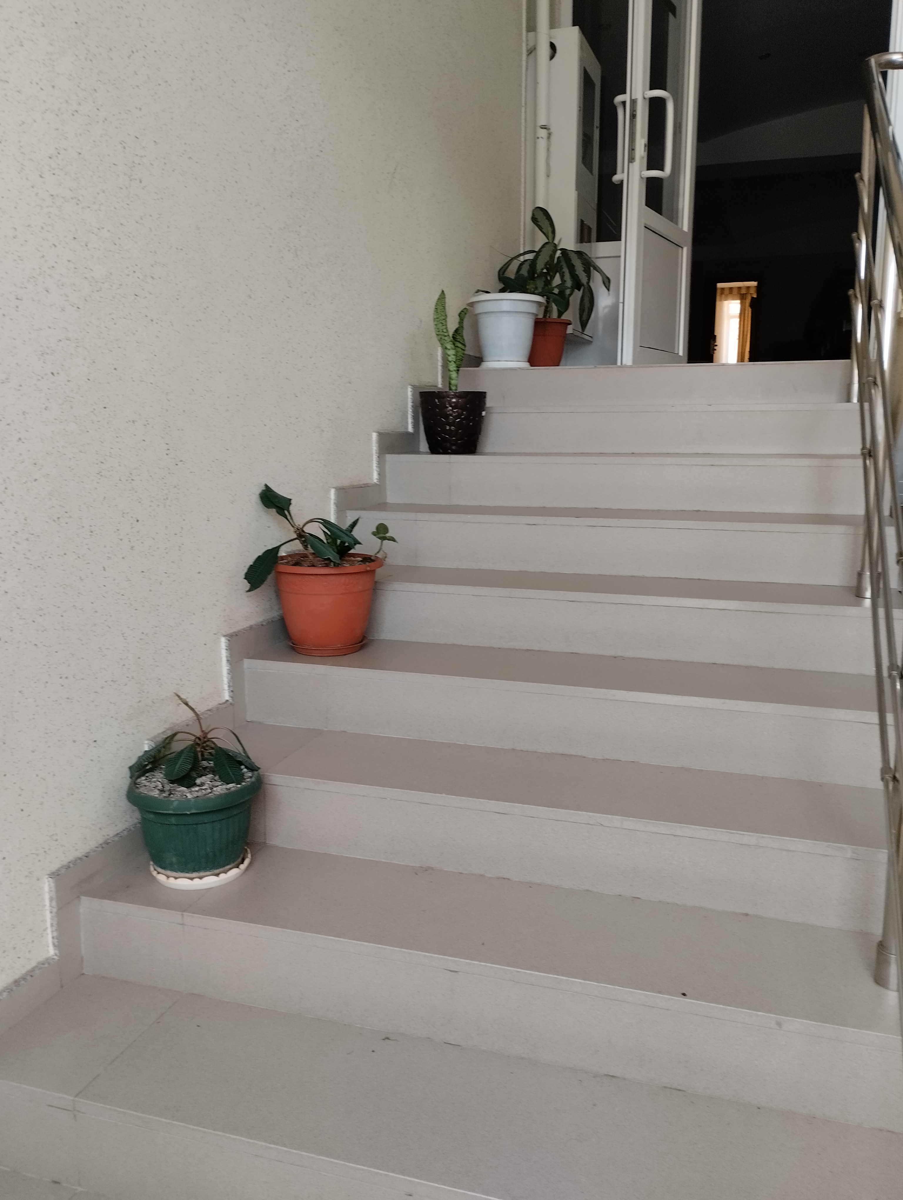 Фото Мирабель