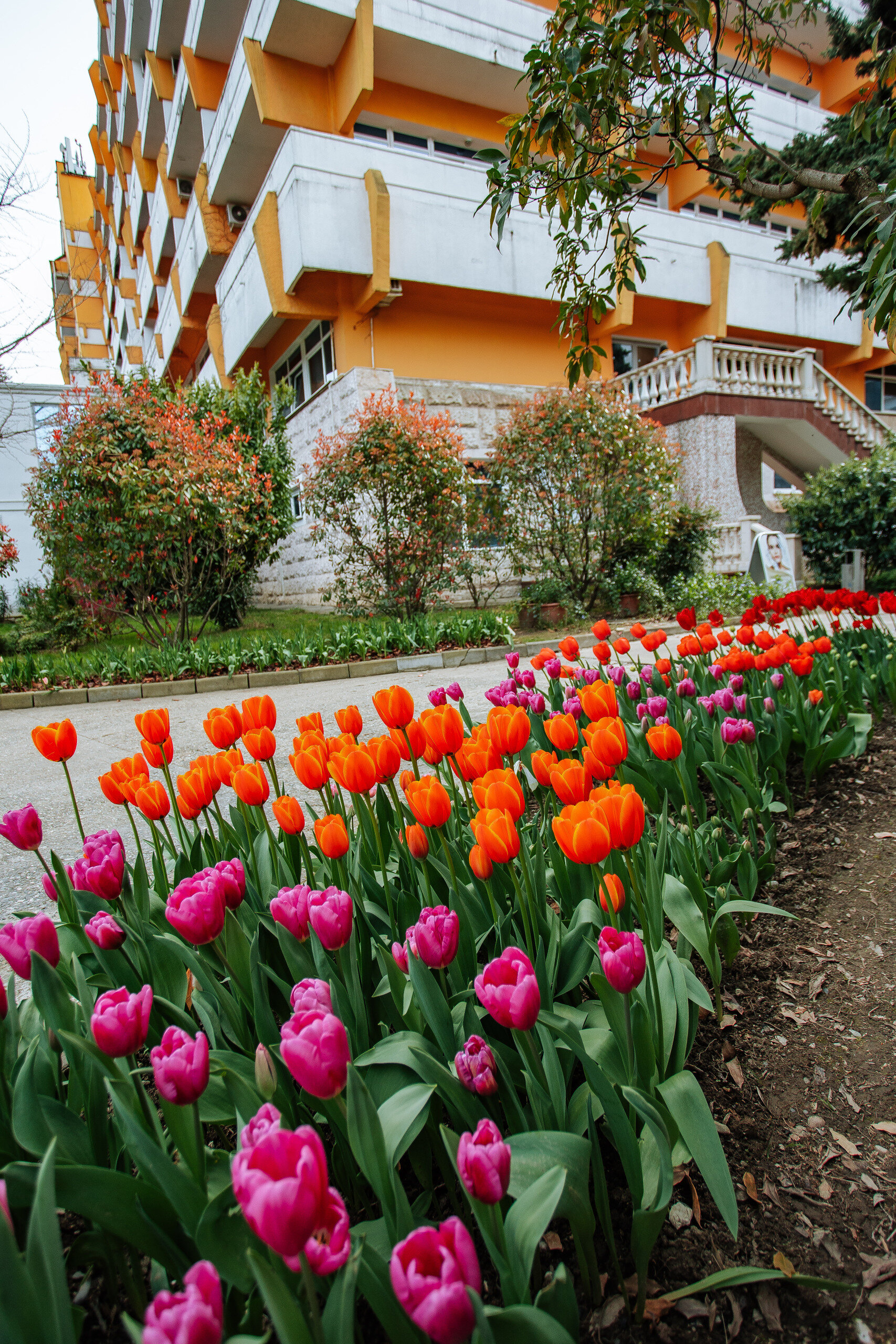 Фото Южное взморье