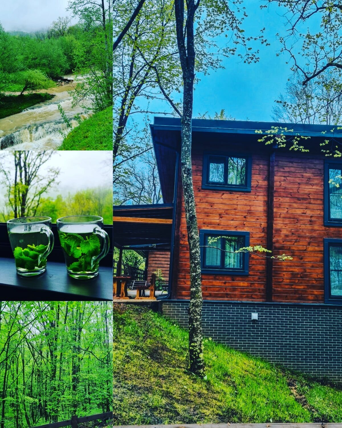 Фото 4 Сезона