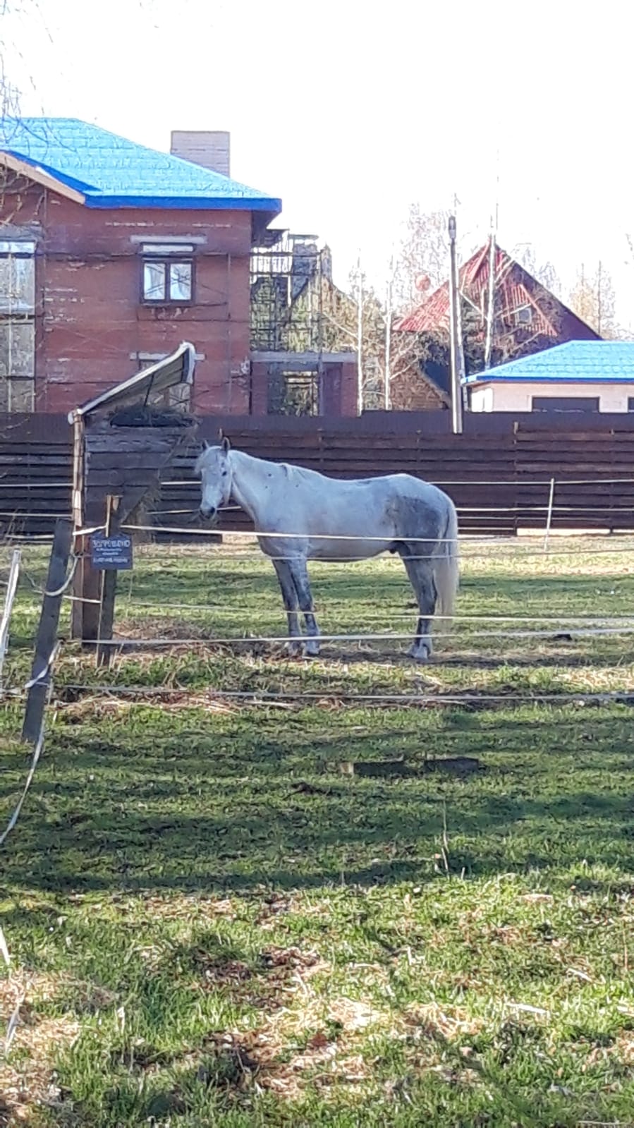 Фото Большая Волга