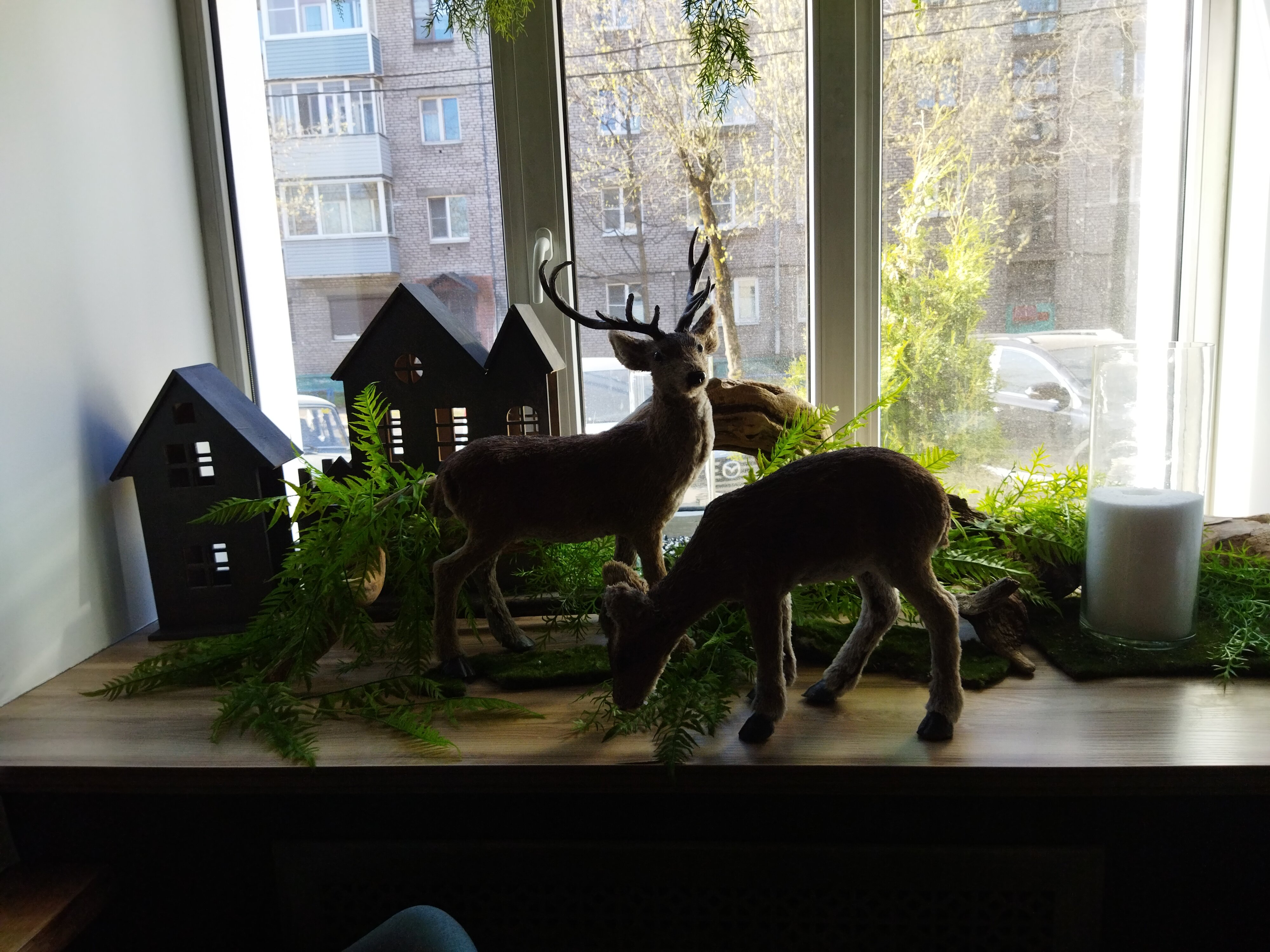 Фото Скандинавия