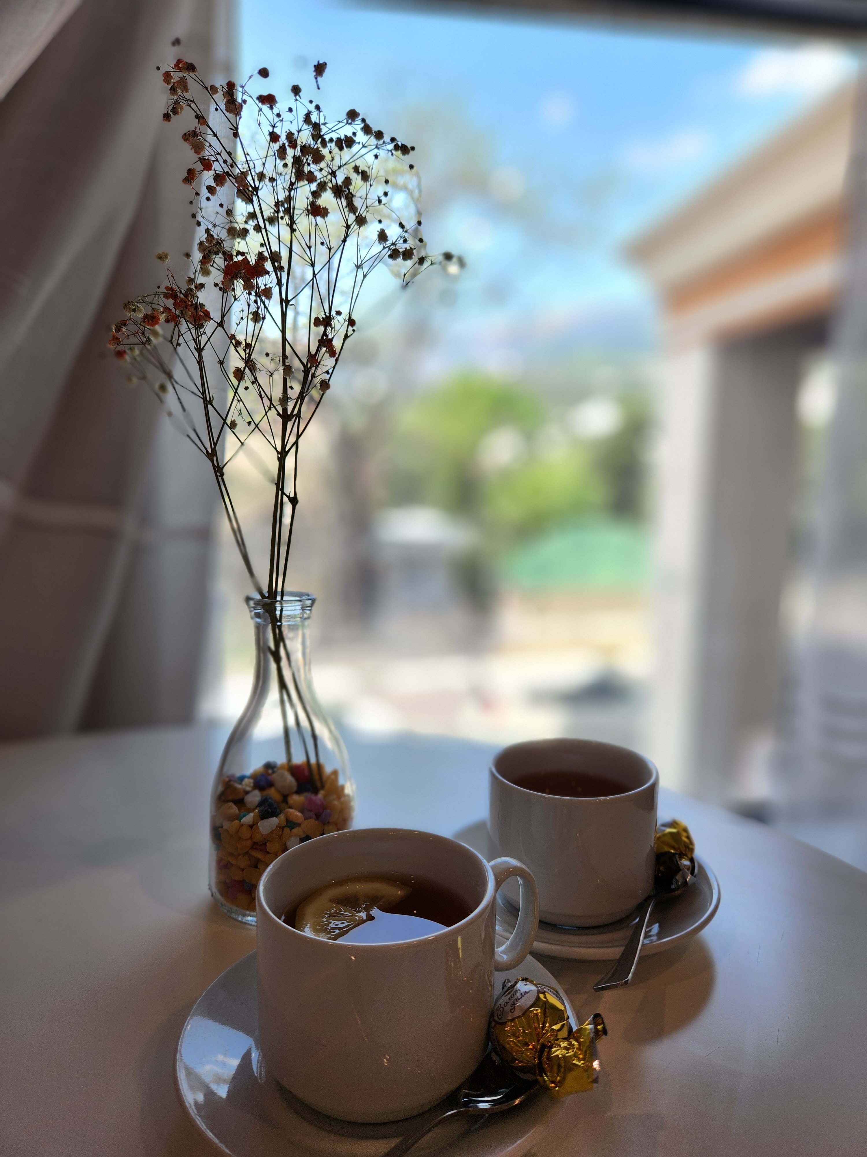 Фото Новая Заря