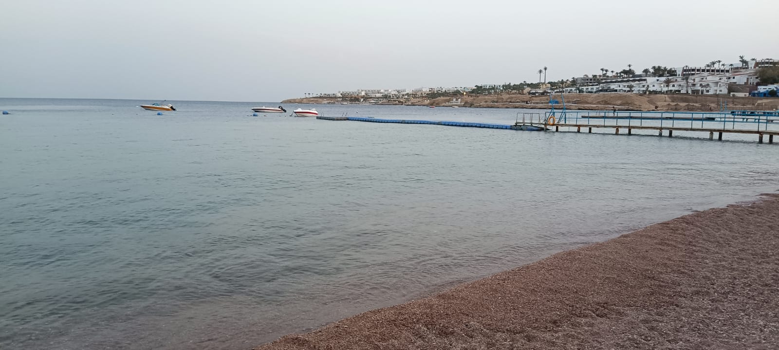 Фото Shark's Bay Oasis