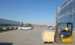 Pulkovo Logistic Company (Stantsionnaya Street, 38к169), logistics company
