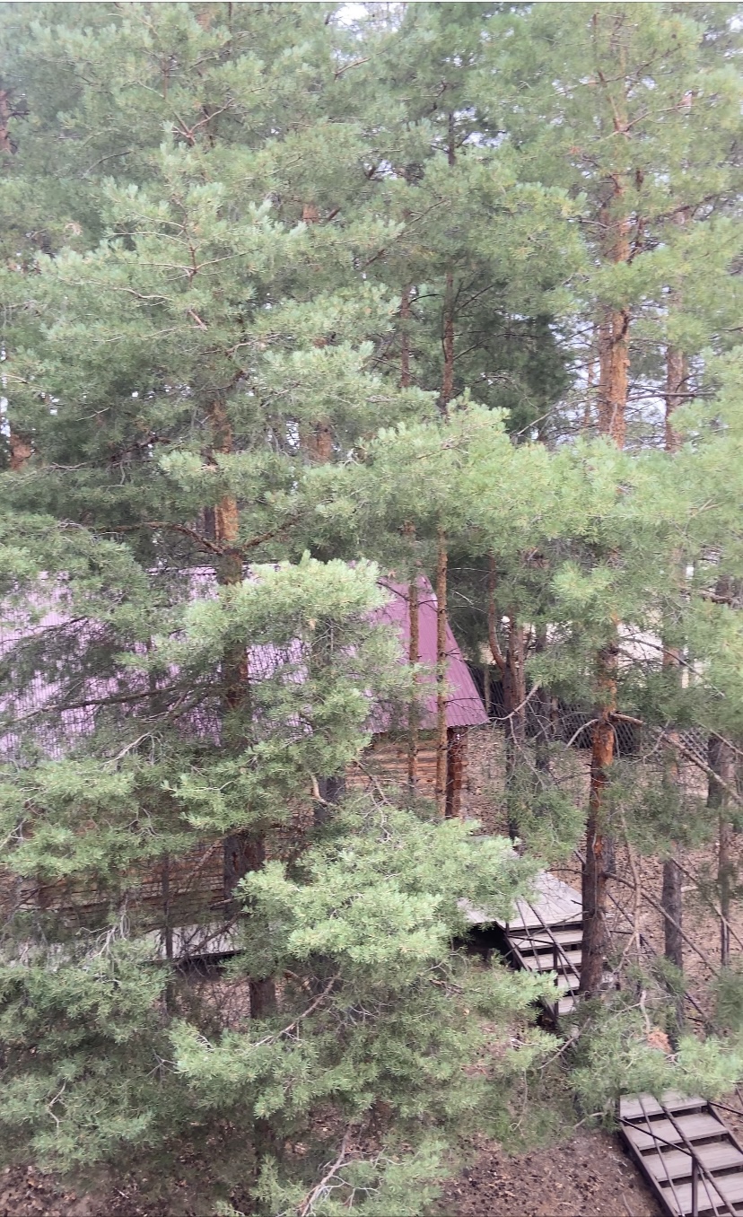 Фото Старый дворик