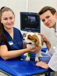 First Veterinary Center (Batayskiy Drive, 25) ، عيادة بيطرية