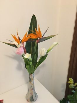 Фото B&b Sterlizia