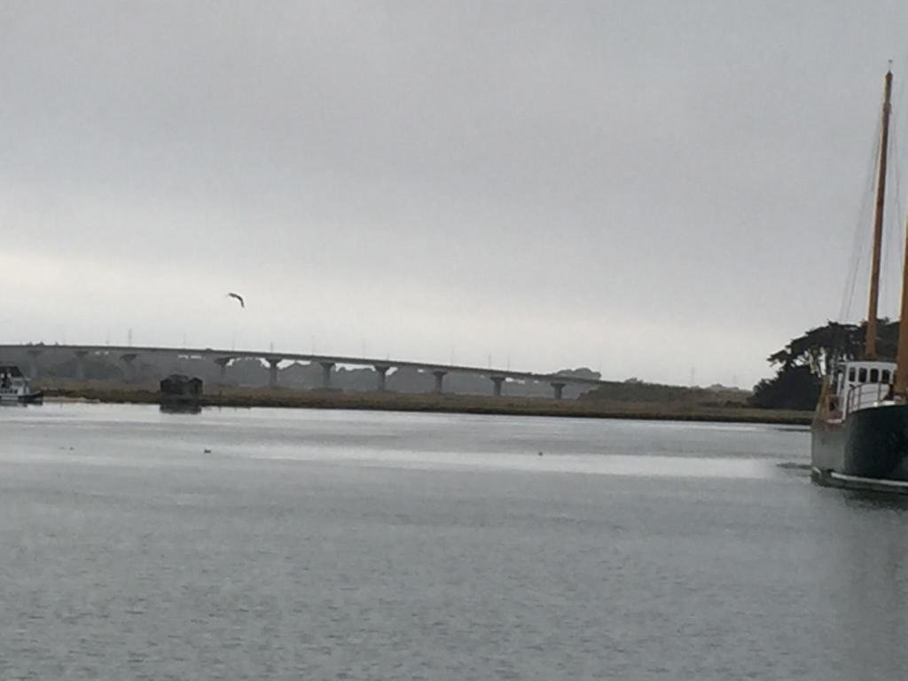 Фото Red Lion Hotel Eureka