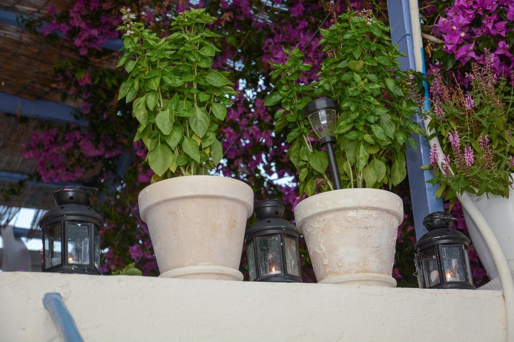 Фото Studio Hermes