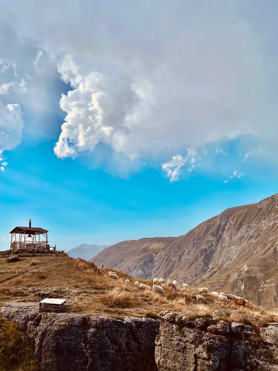 Фото У Магомеда