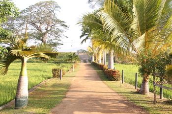 Фото Serene Park Hotel