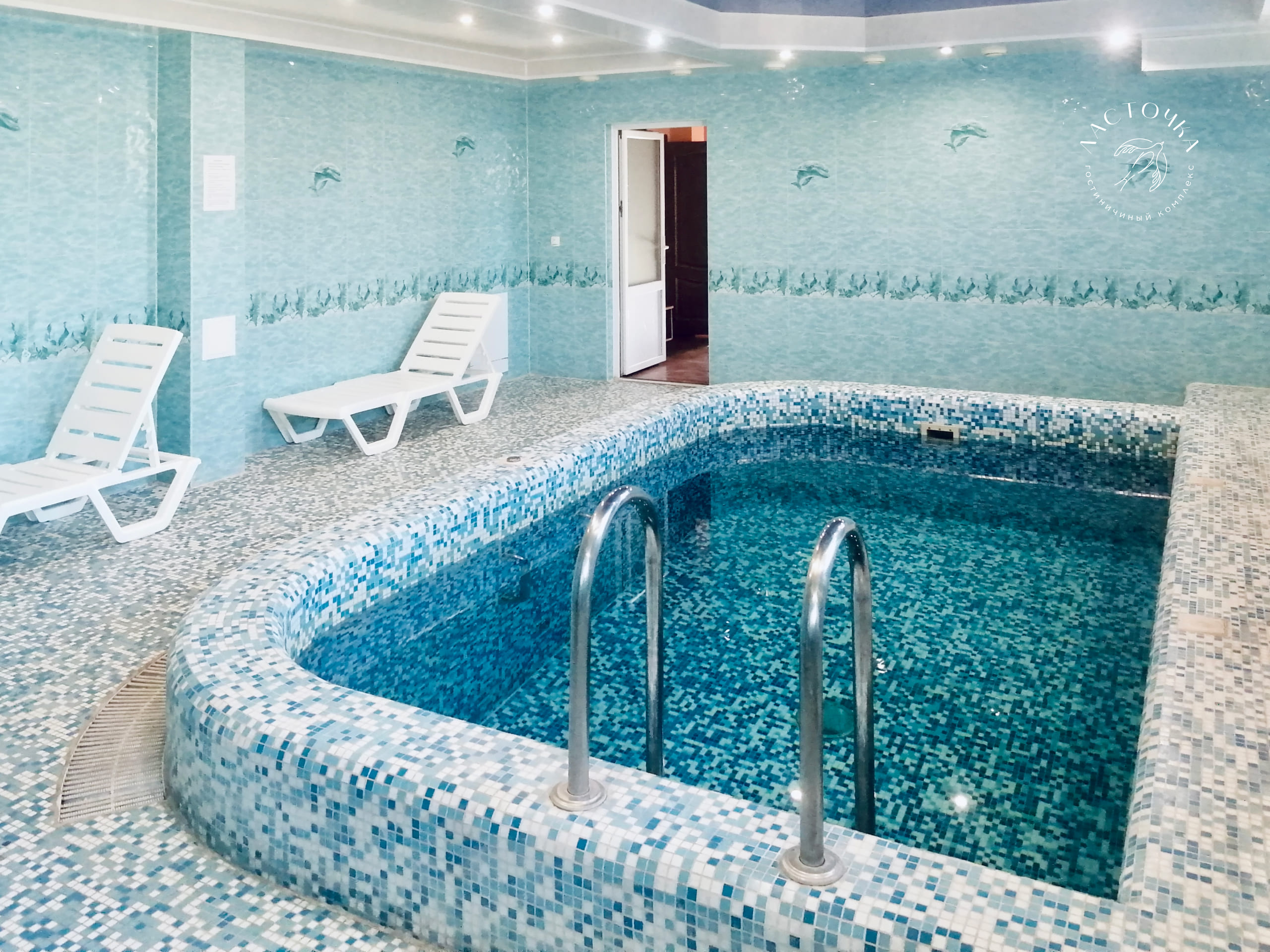 Фото Ласточка