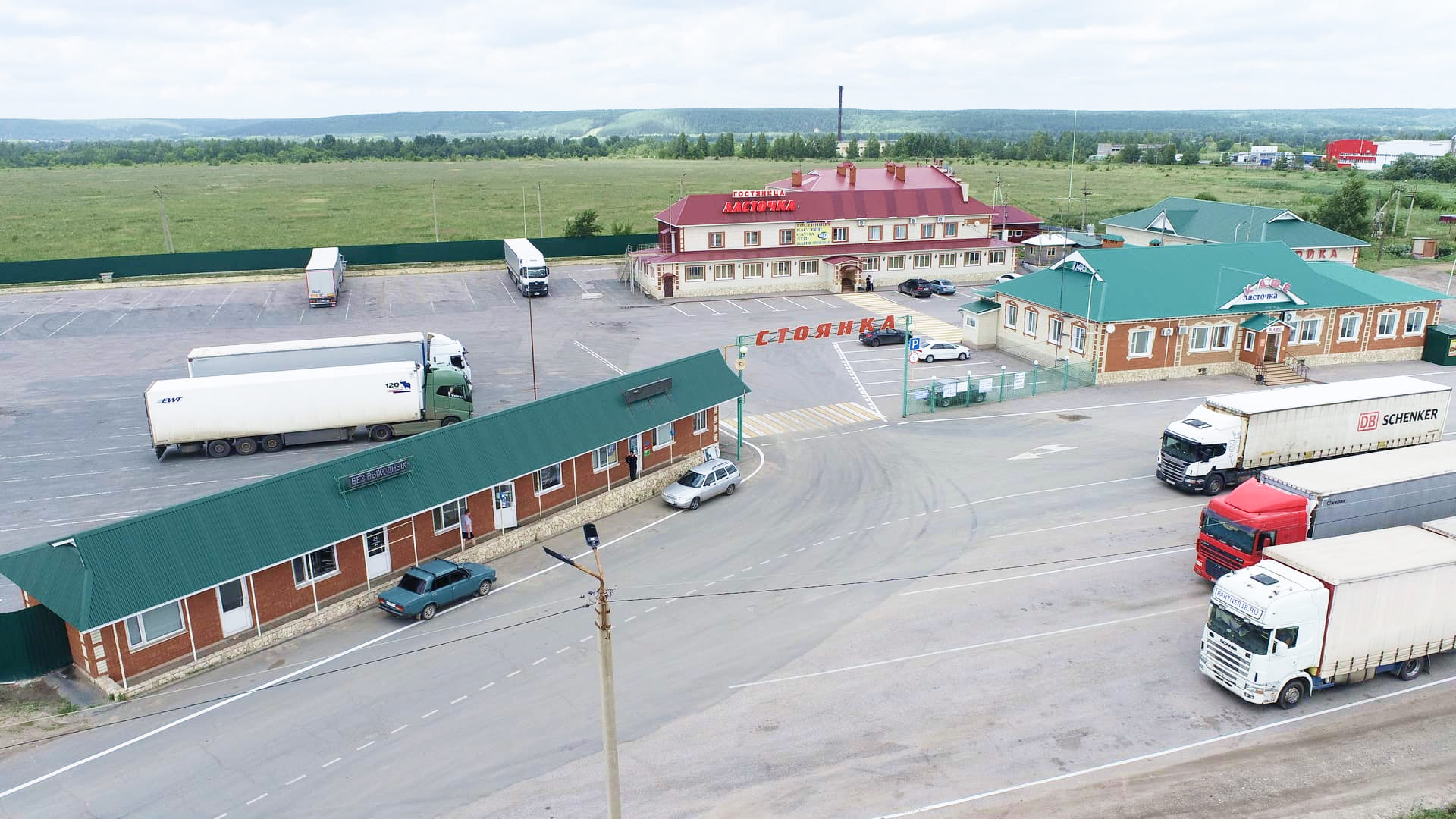 Фото Ласточка