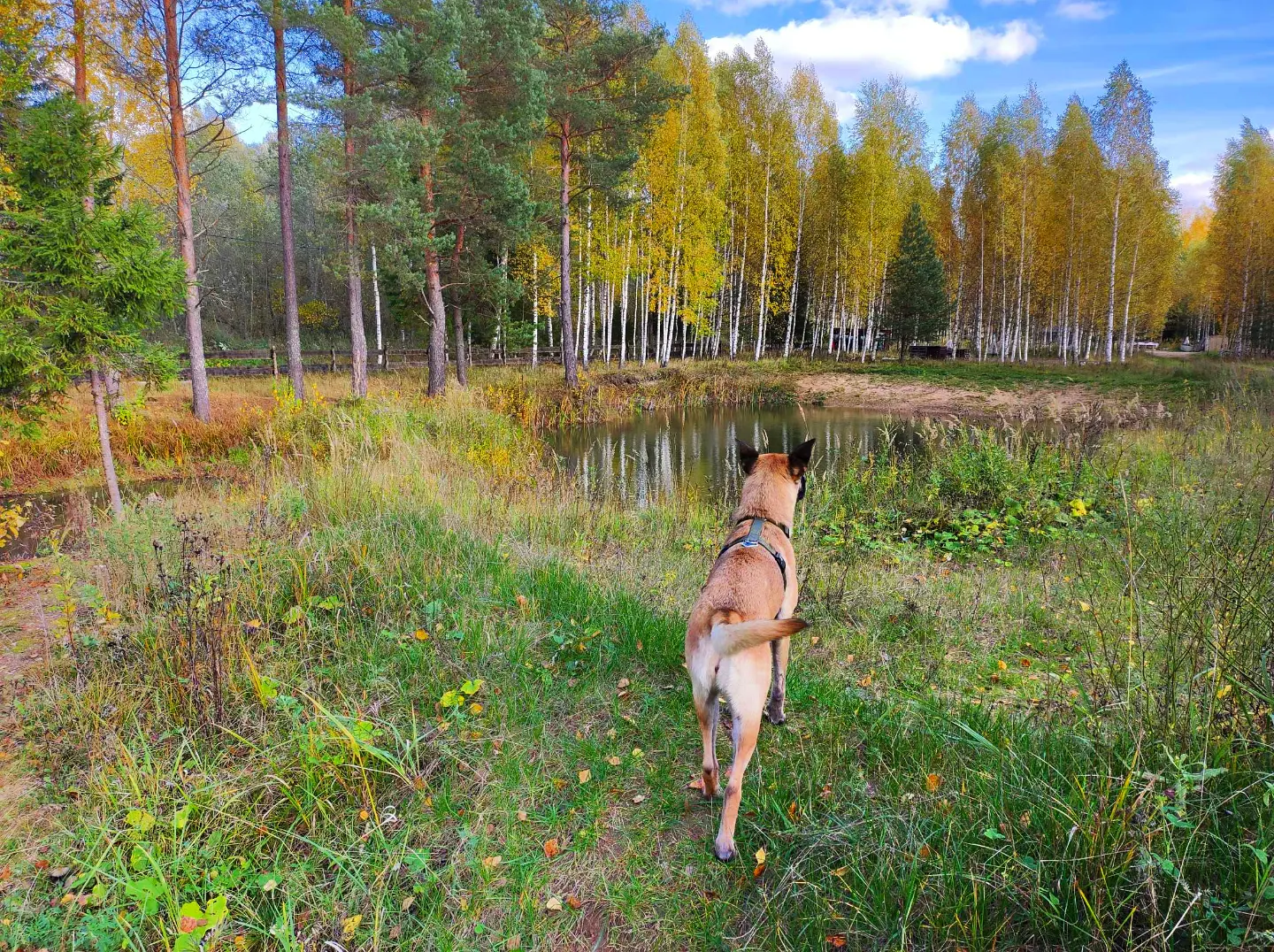 Фото Заповедник впечатлений