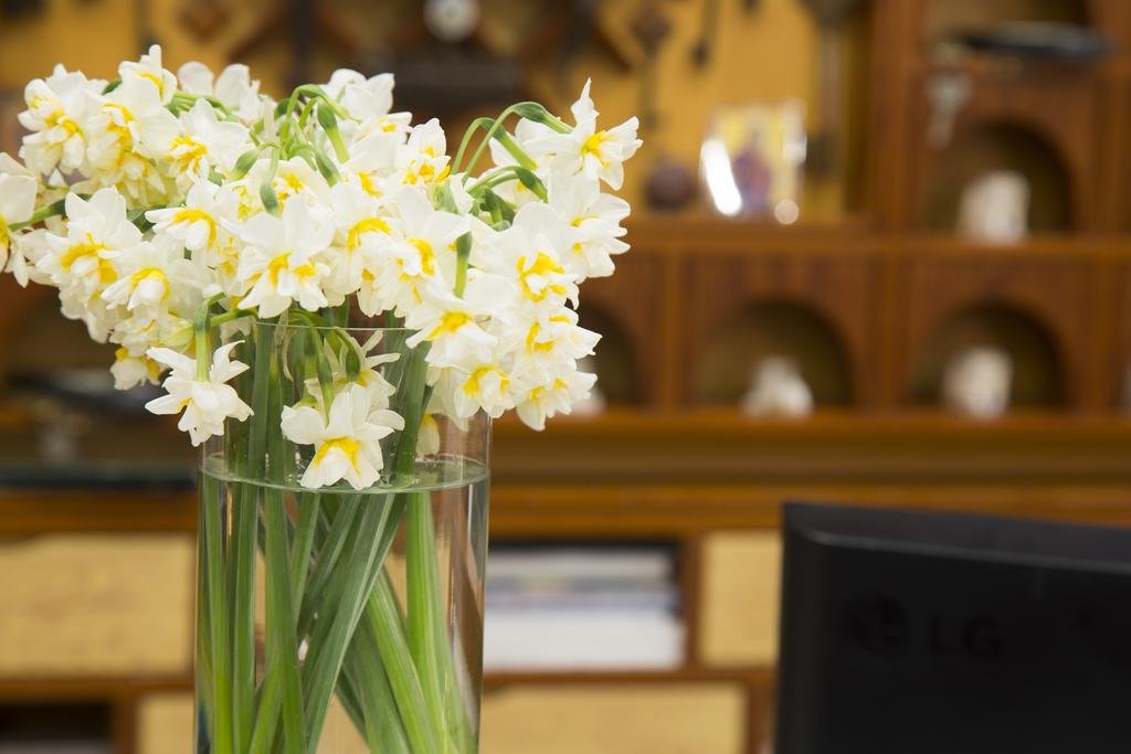 Фото Byzantio City Hotel