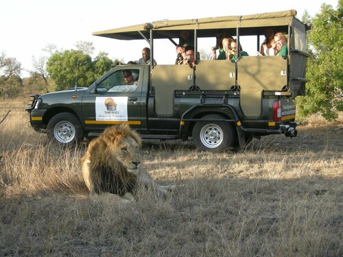 Гостиница Timbavati Safari Lodge