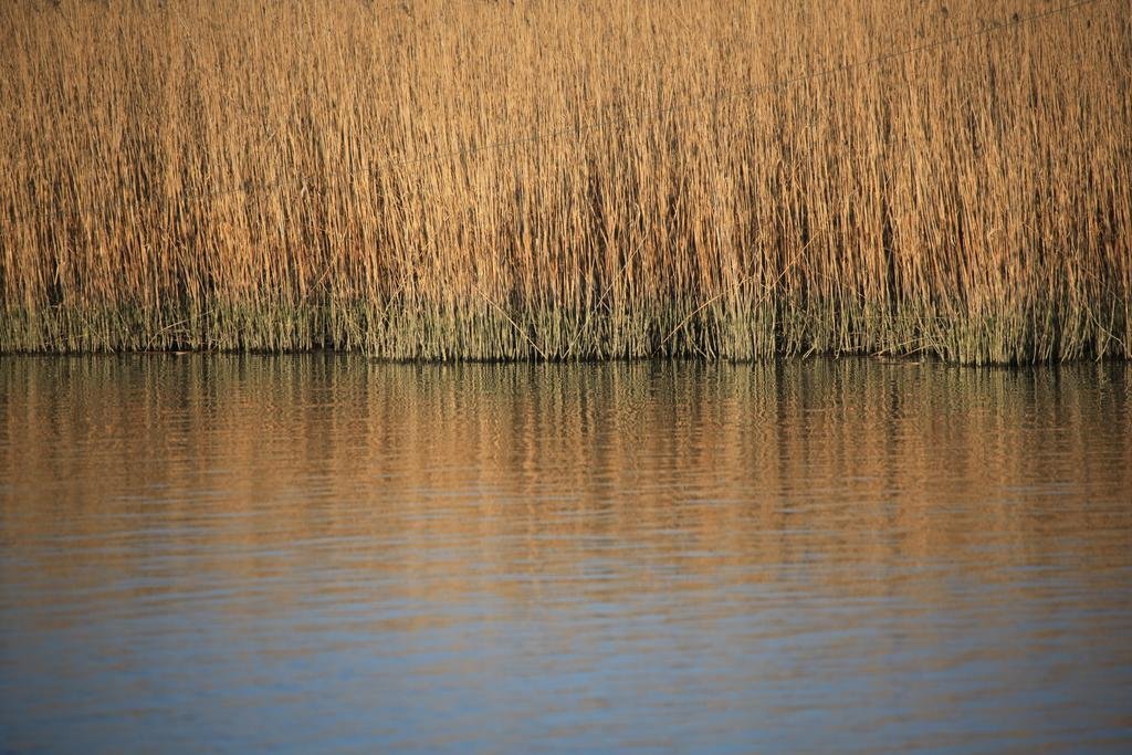 Фото Hotel Orizzonte