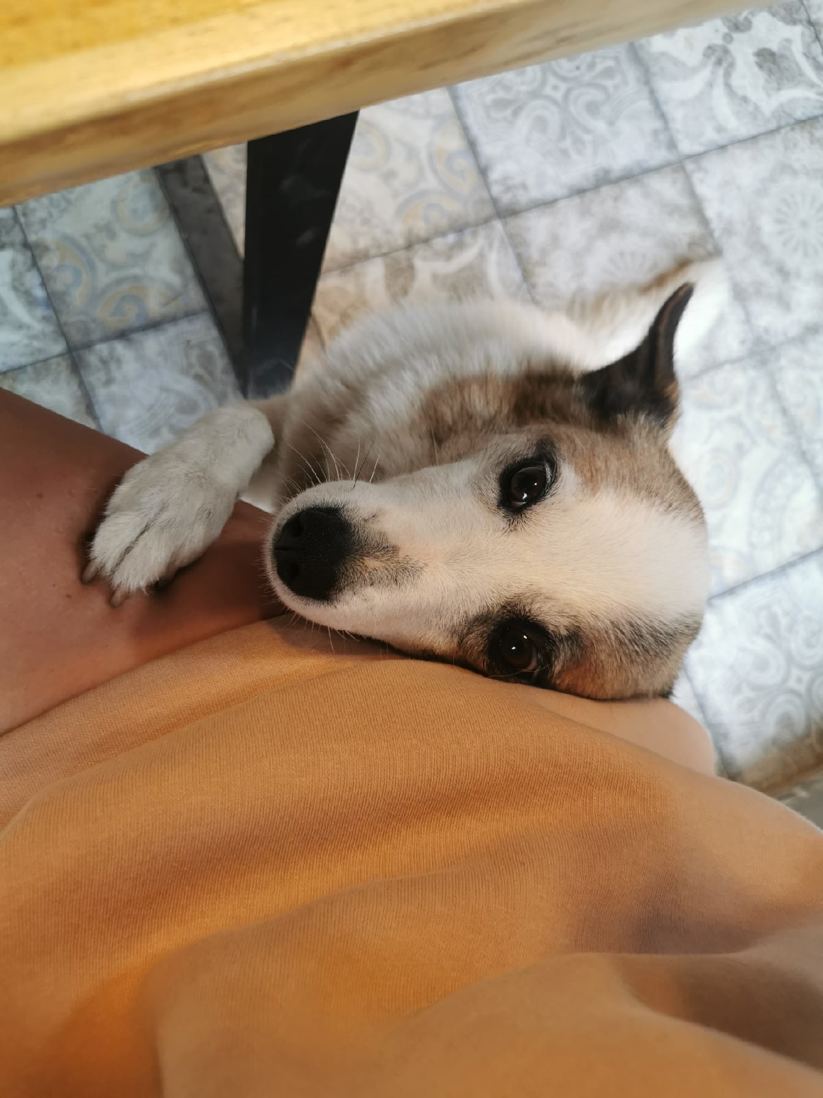 Фото Время Че