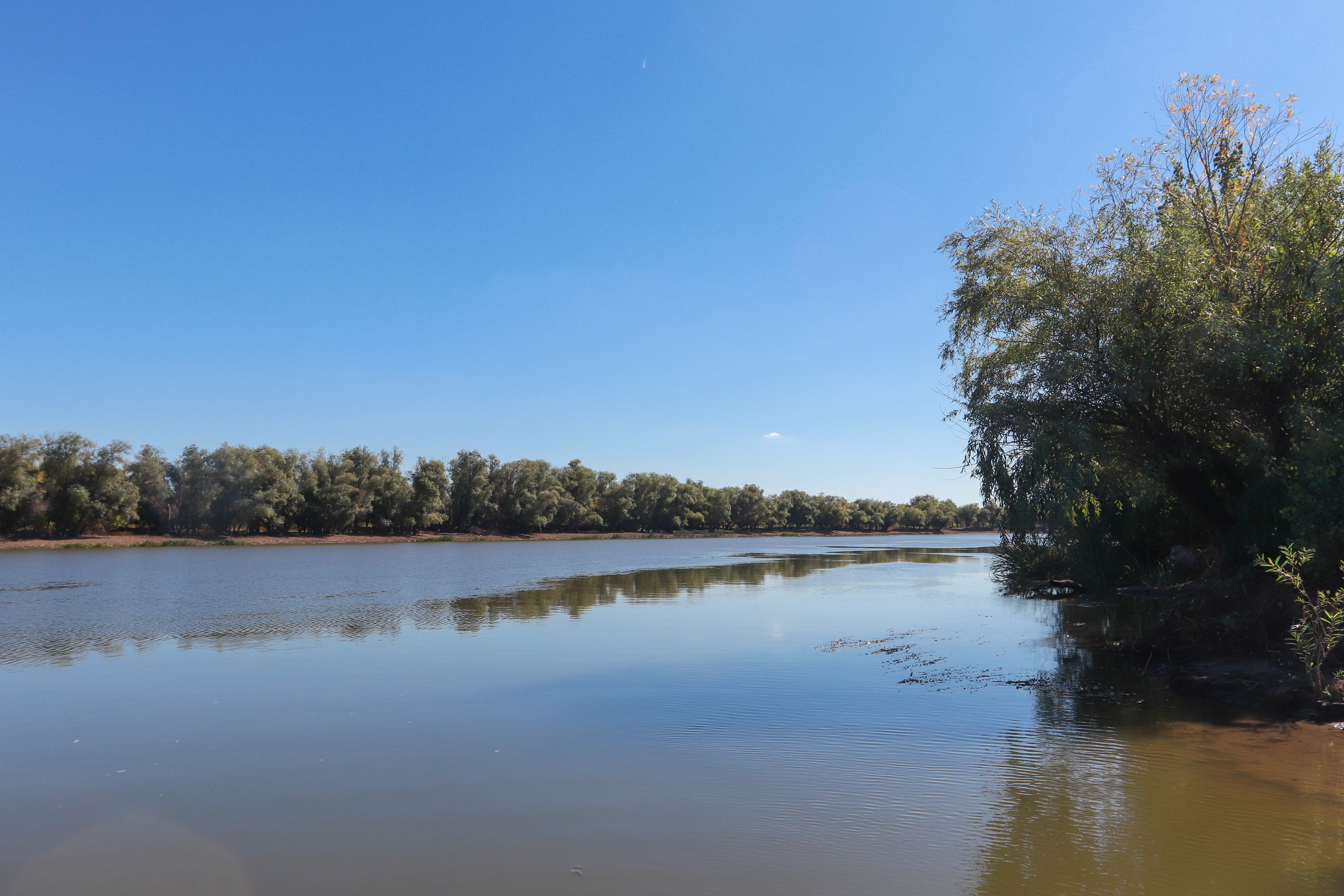 Фото Лазурная