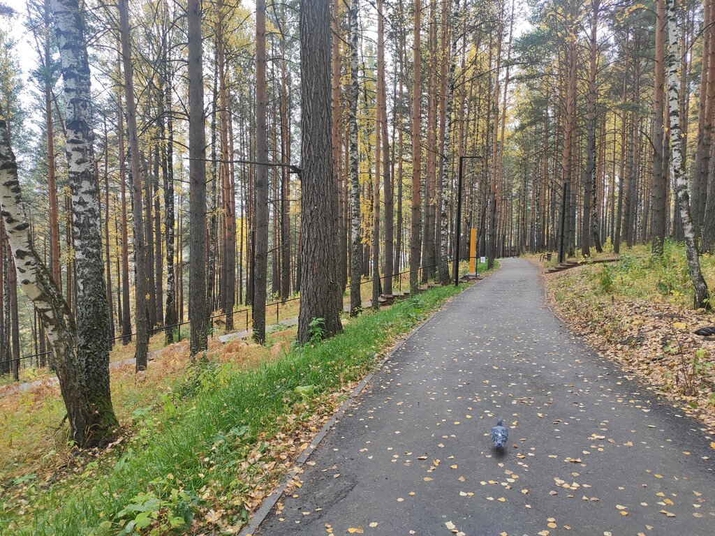 Парк культуры и отдыха Парк Культуры и Отдыха, Трёхгорный, фото