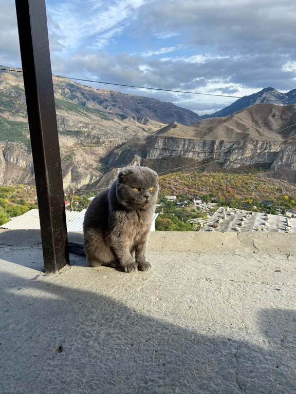 Фото Родное гнездо