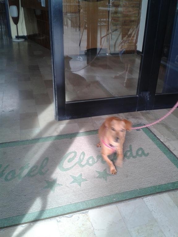 Фото Hotel Clorinda