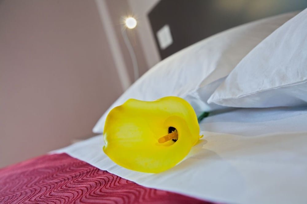 Фото Il Fiore in una Stanza