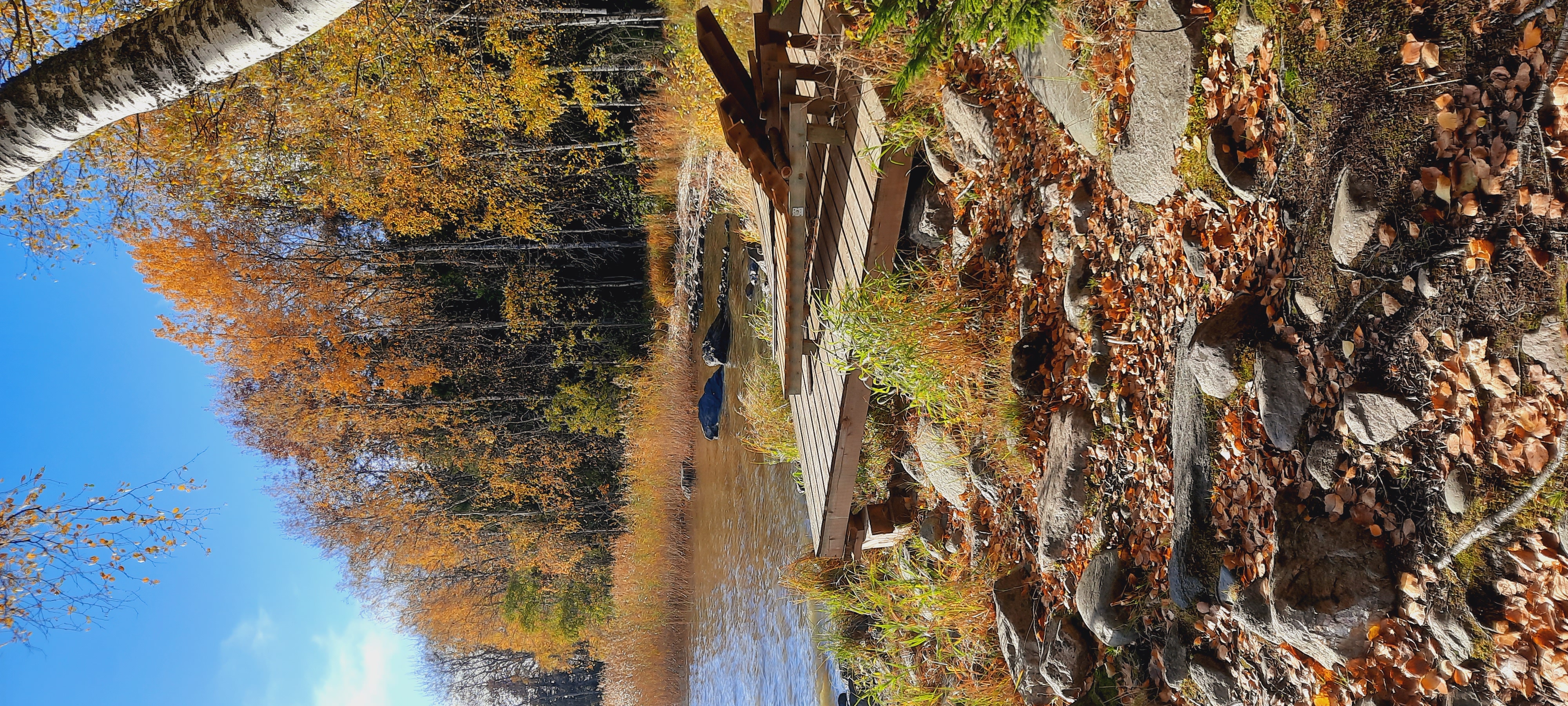 Фото Коттедж на Ладоге