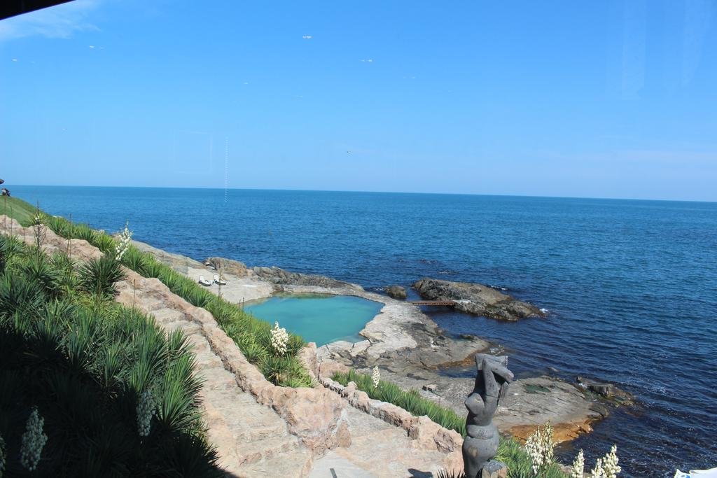 Фото Art Complex Anel