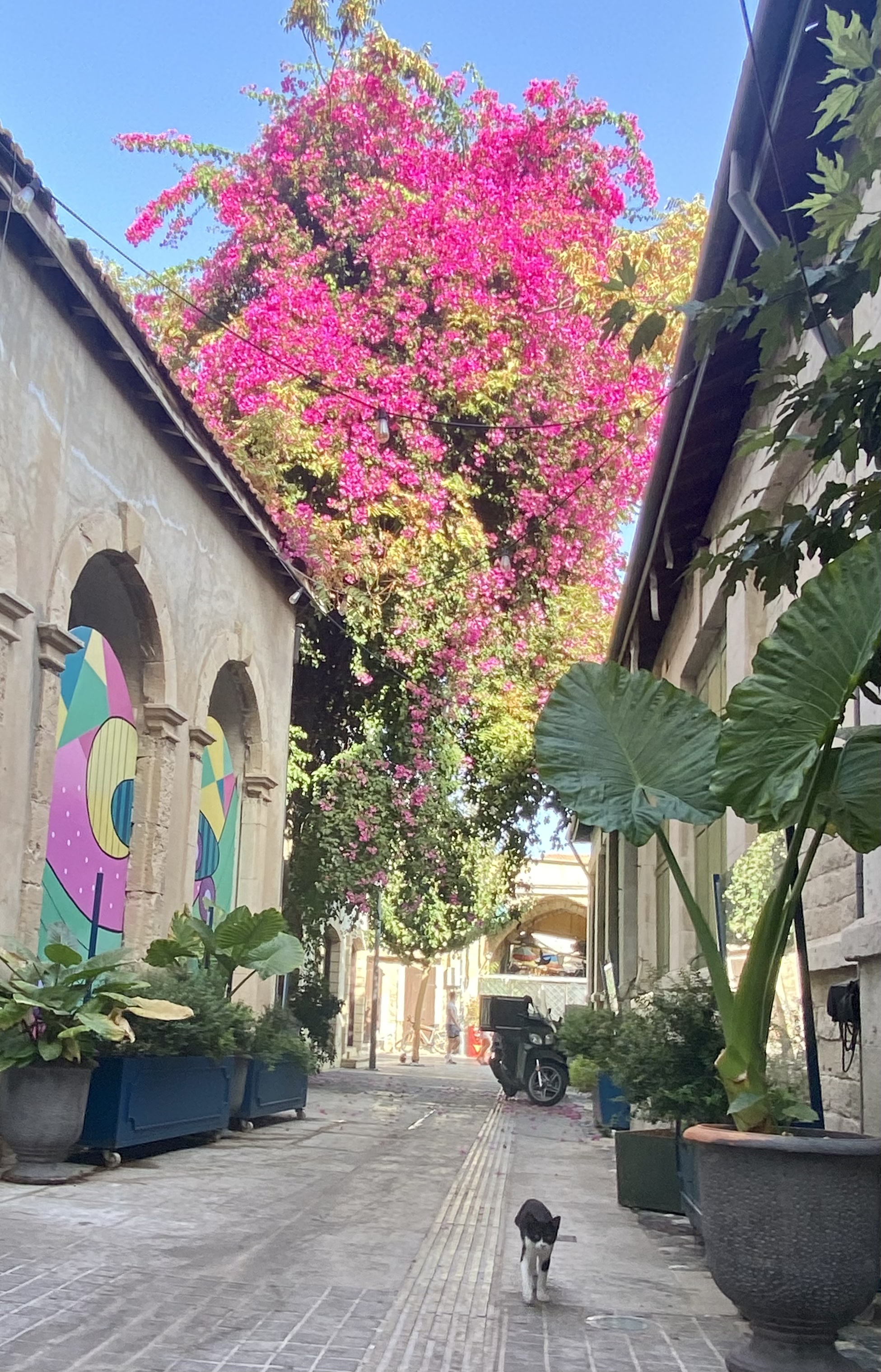 Фото Old Port Hotel