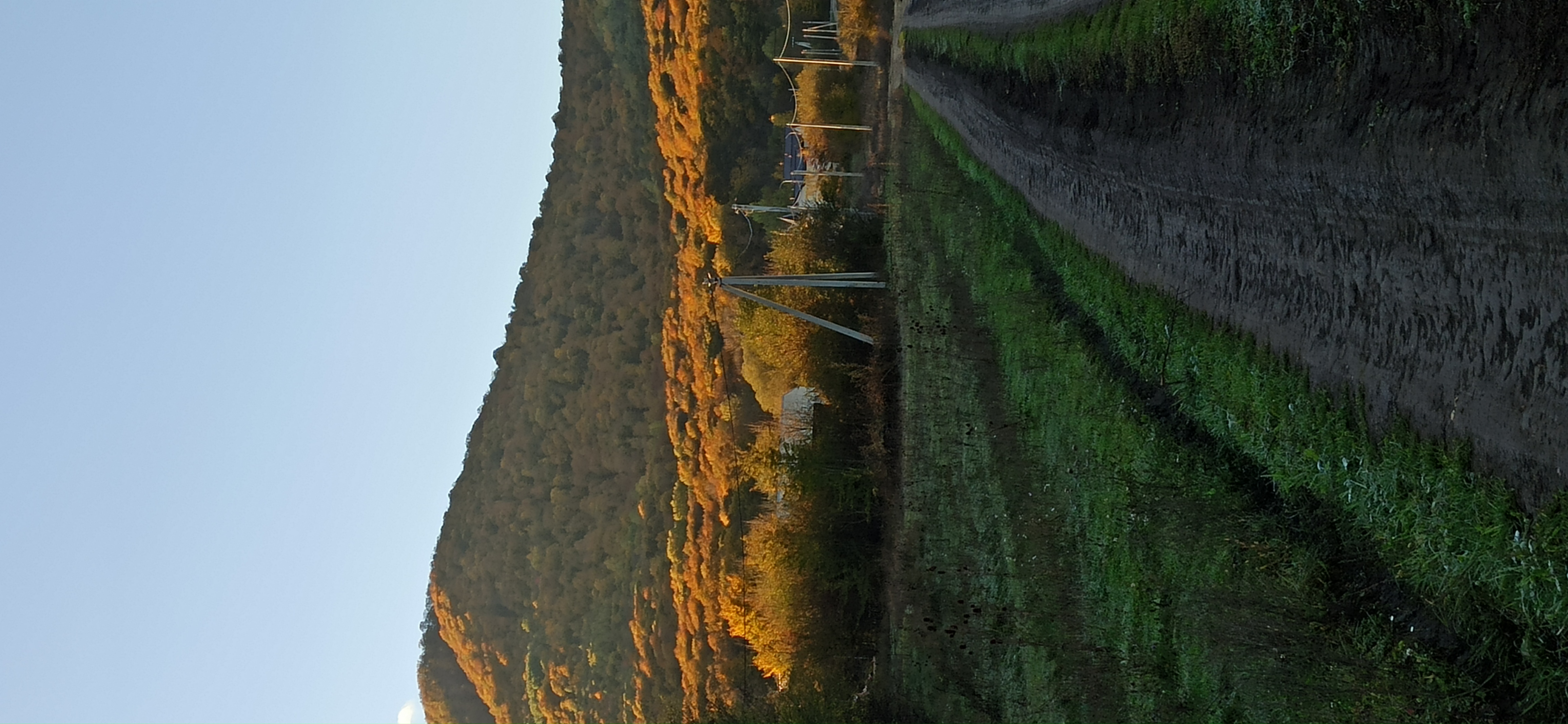 Фото Ореховая роща в Даховской