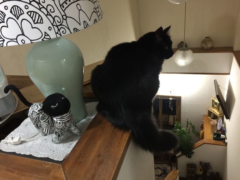 Фото Ladies Inn moTomachi - Caters to Women