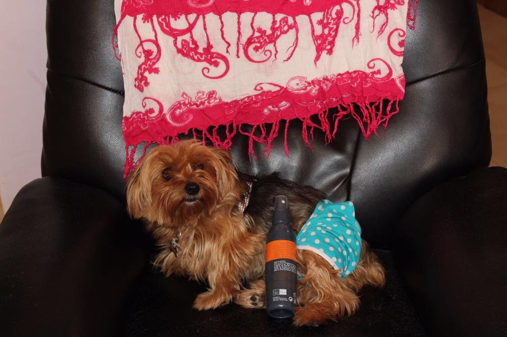 Фото Residencial Algaida