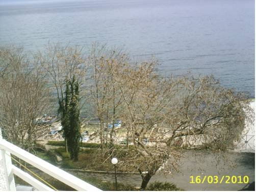 Фото Family Hotel White House