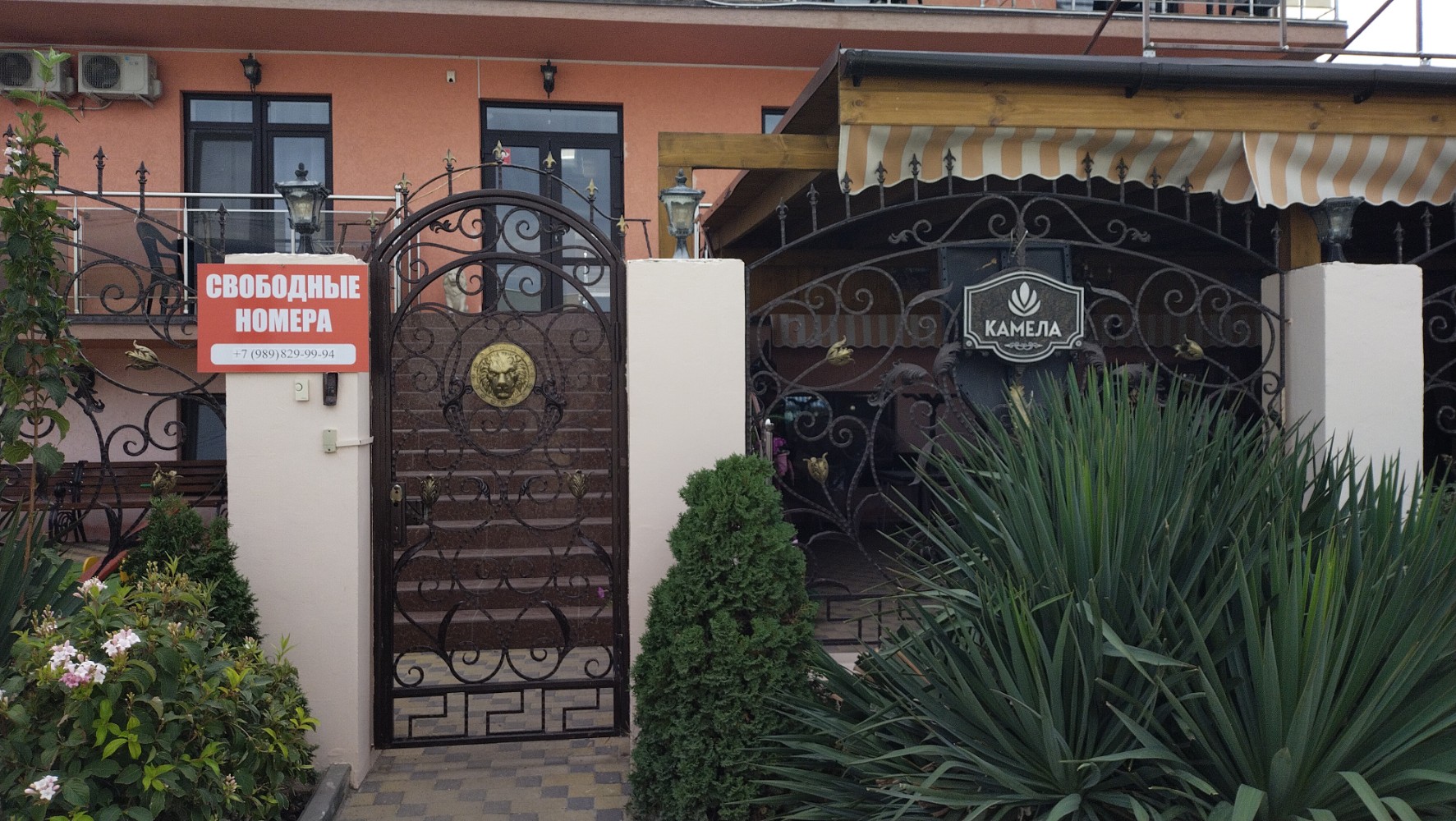 Фото Камела