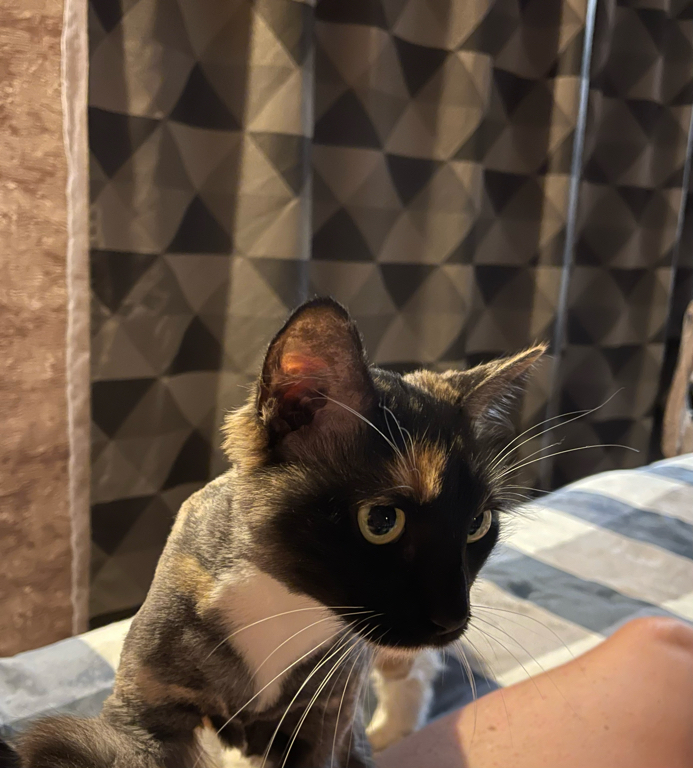 Фото Медвежий угол