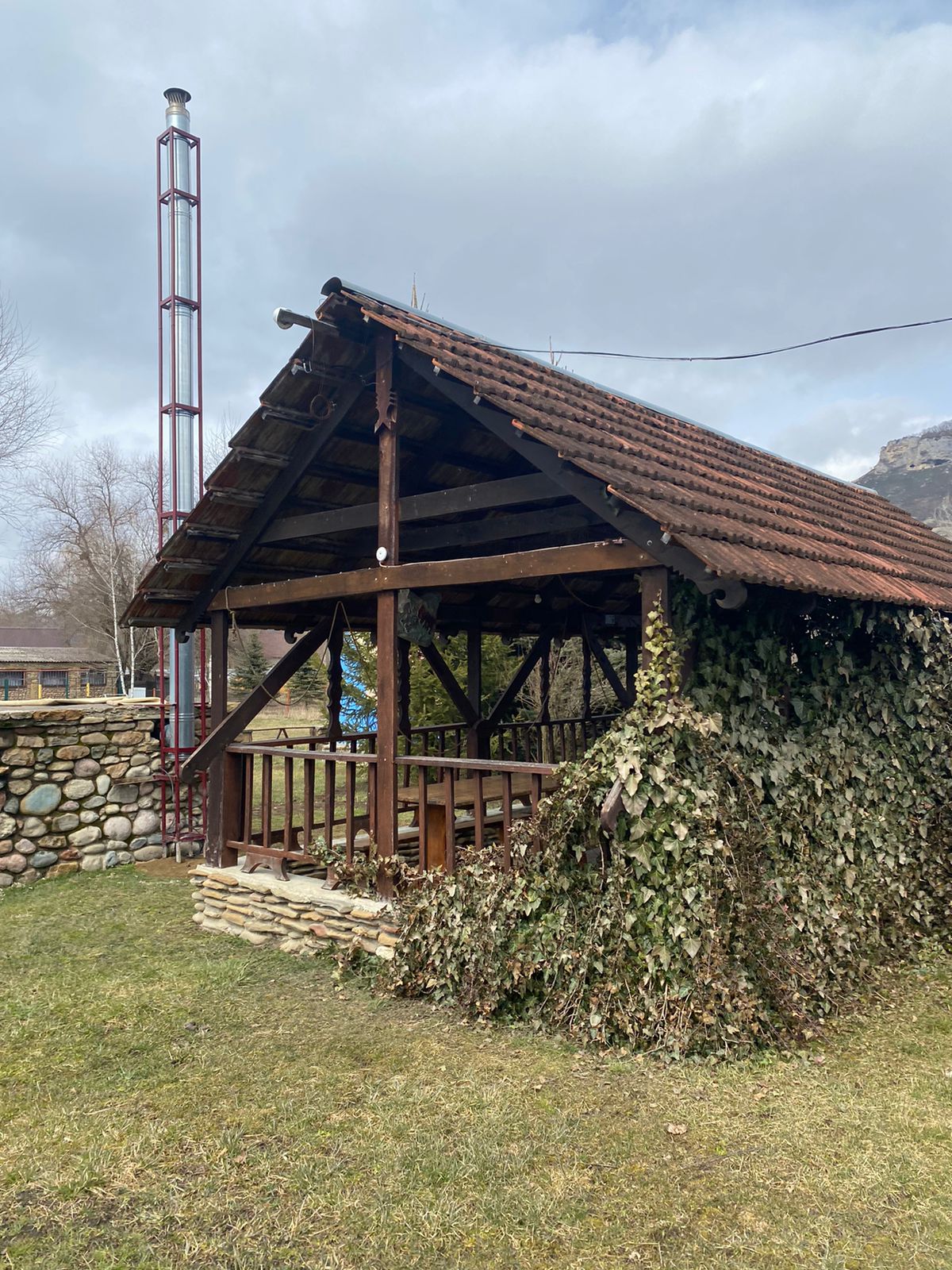 Фото Снежный Барс