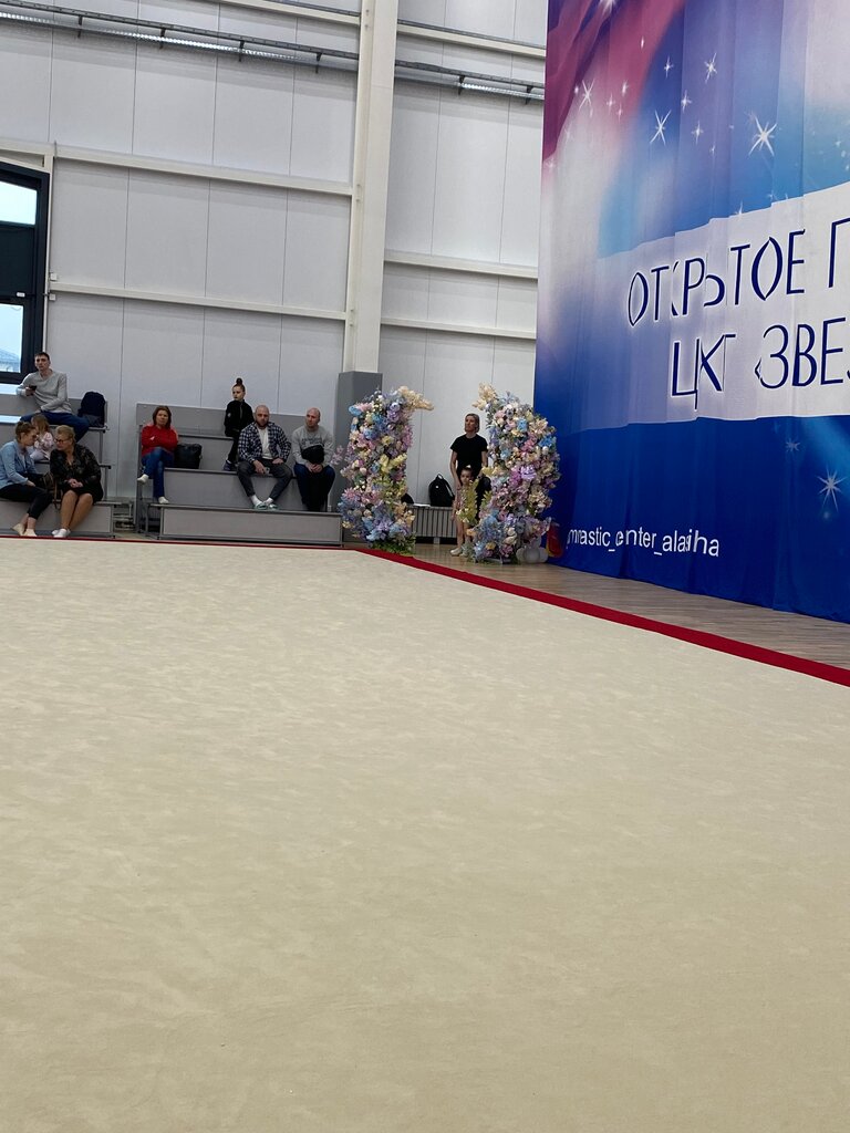 Гимнастический центр спортивный центр Ватутинки