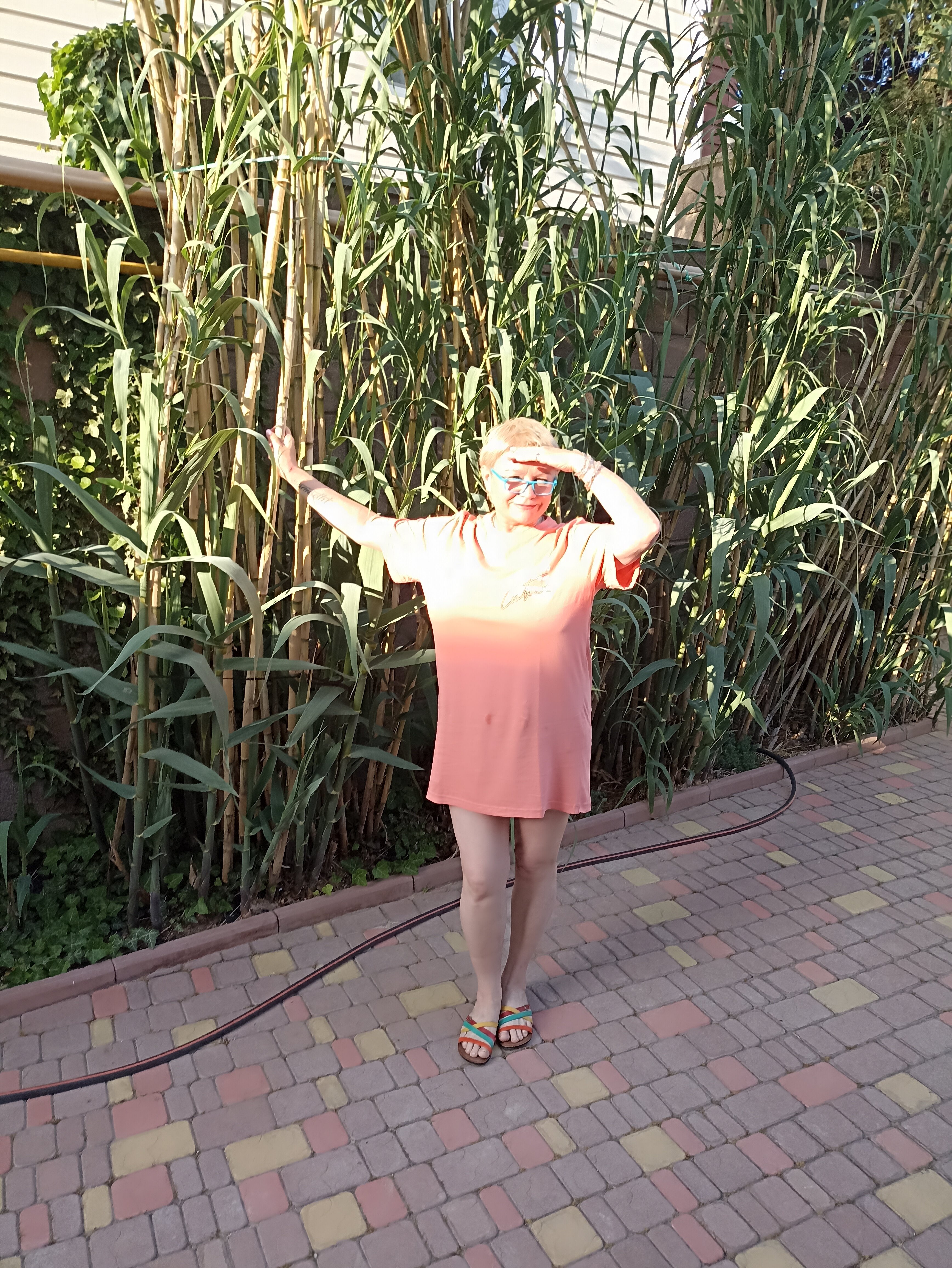 Фото Бамбук