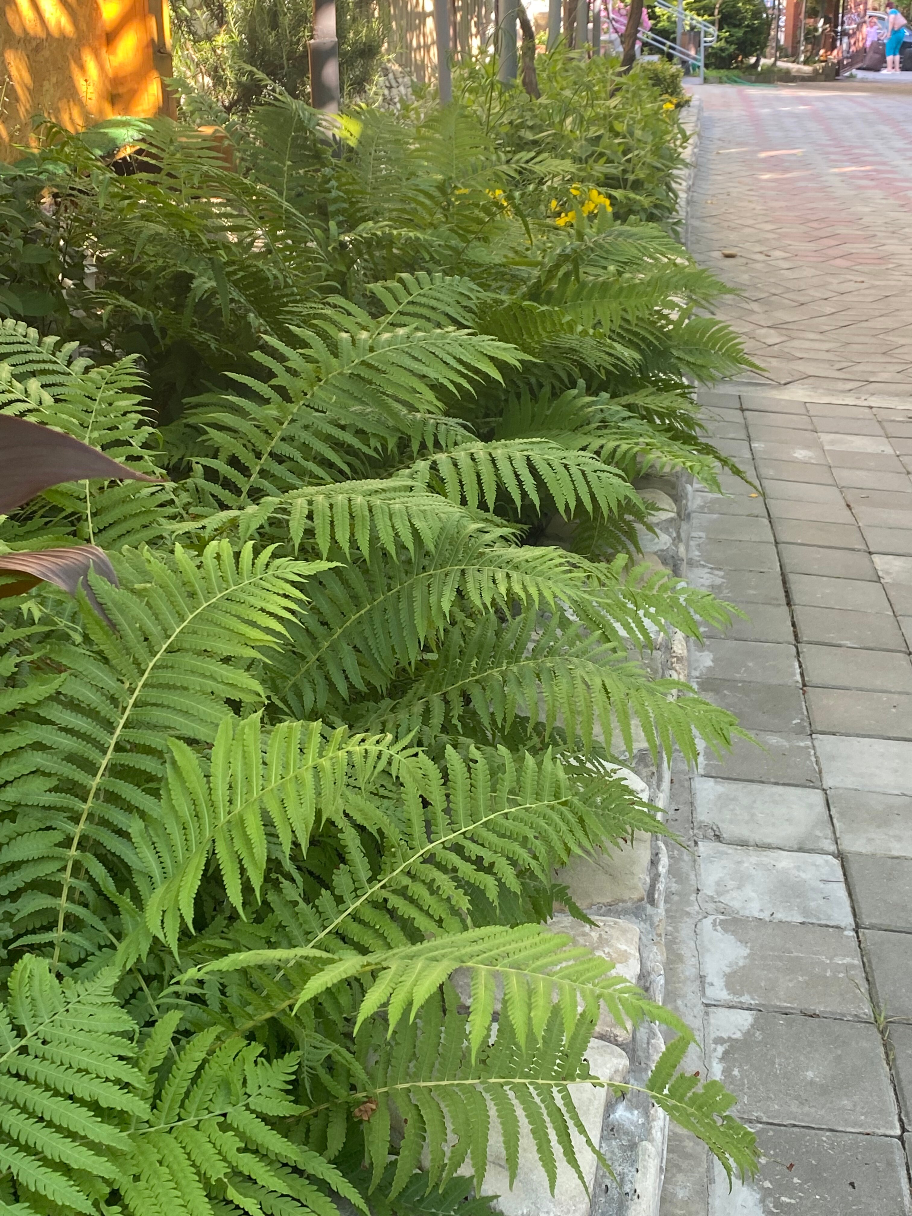 Фото Райский уголок