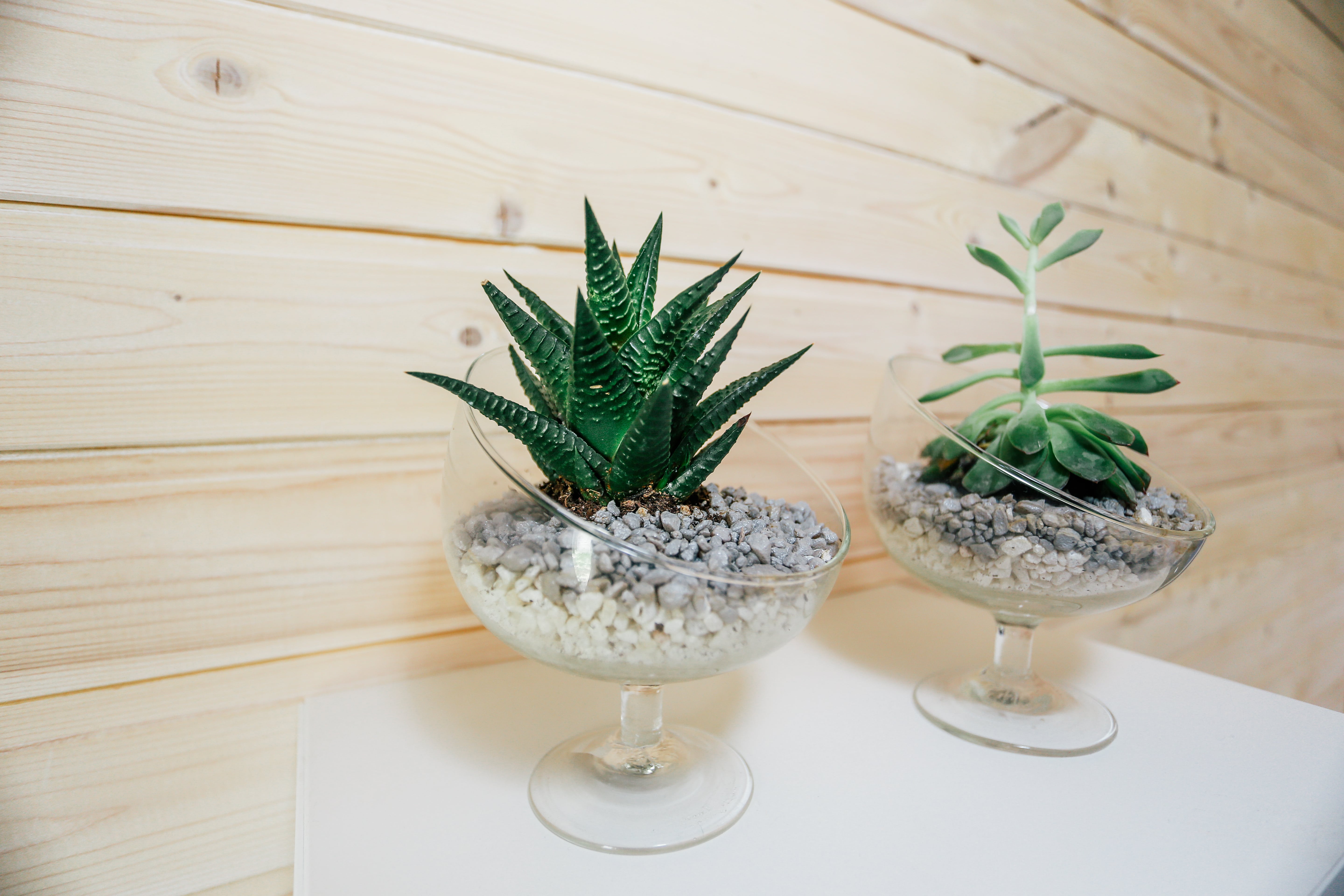 Фото Магия природы